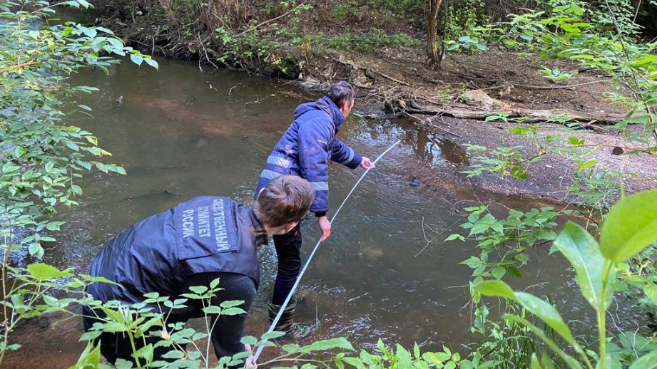 Химический запах и гибель рыбы: жители Приморского района пожаловались на загрязнение Каменки
