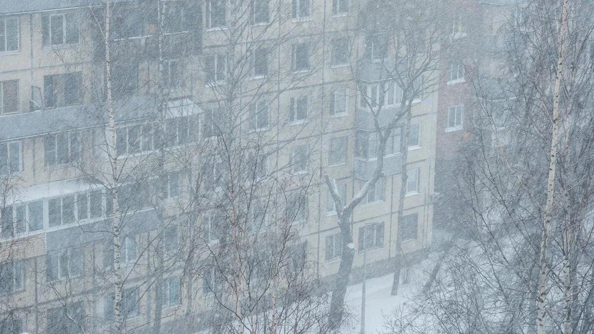 Фото: Олег Золото / МР7