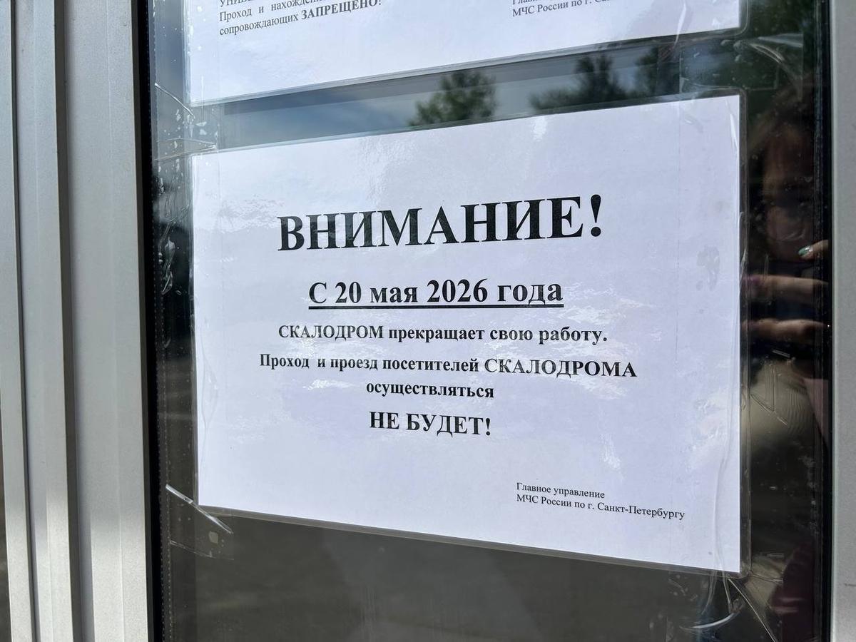 Фото: Дарья Дмитриева / МР7