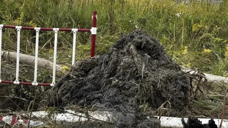 Фото: Водоканал Петербурга