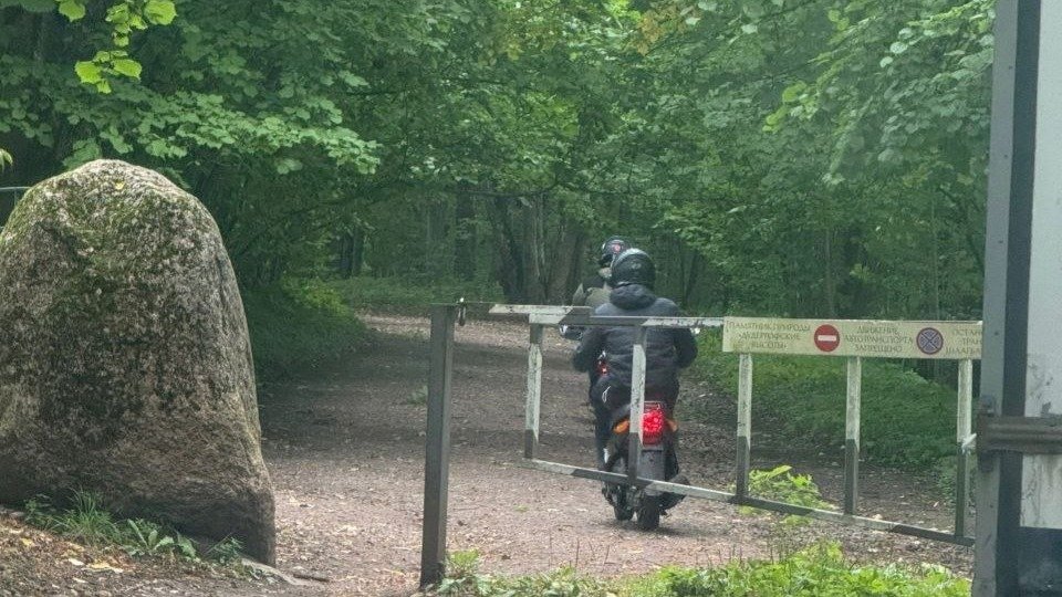 Фото: «Транспортный коллапс, Красное Село»