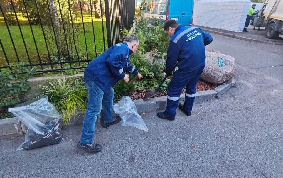 Фото: читатель MR7