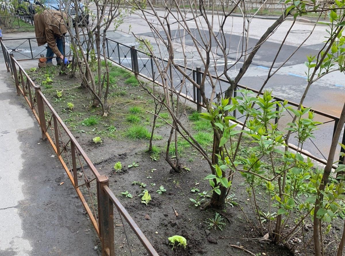 Фото: Центральный район за комфортную среду обитания