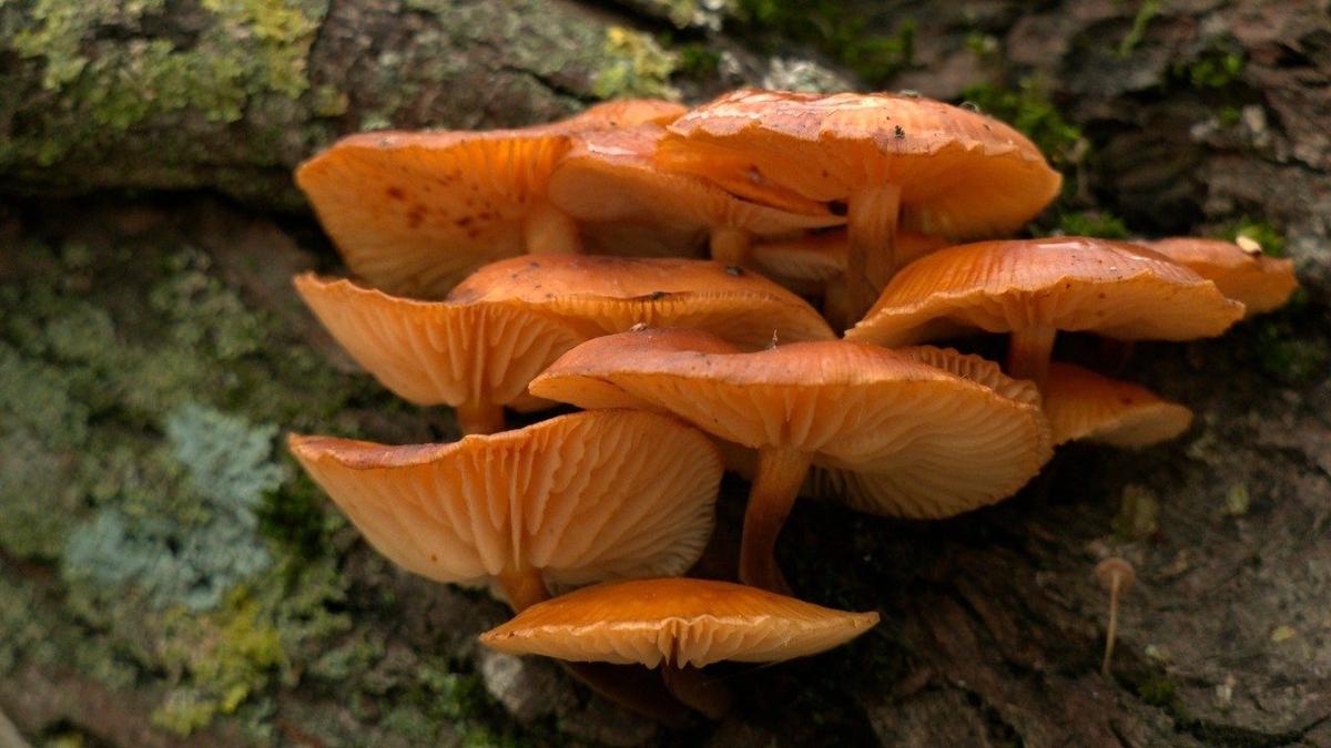 Фото: Павел Глазков / «Каждой твари по паре»