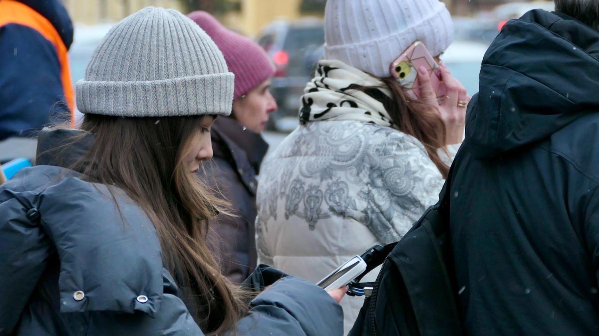 Фото: Павел Даиси / МР7