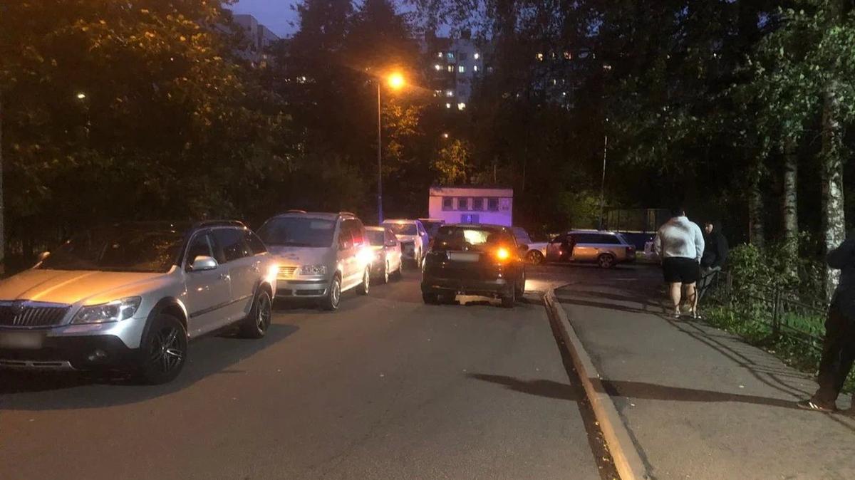 Фото: ГУ МВД по Петербургу и Ленобласти