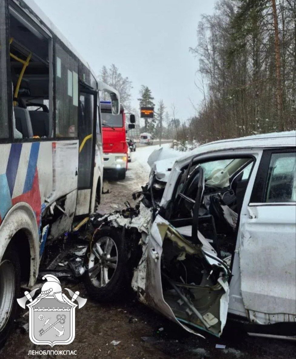 Фото: ГКУ «Леноблпожспас»
