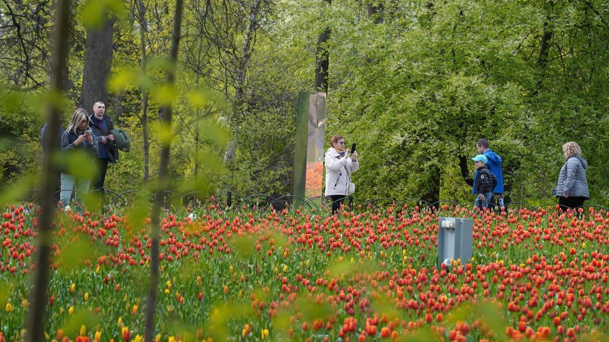 7 поводов выйти из дома 16 — 17 мая