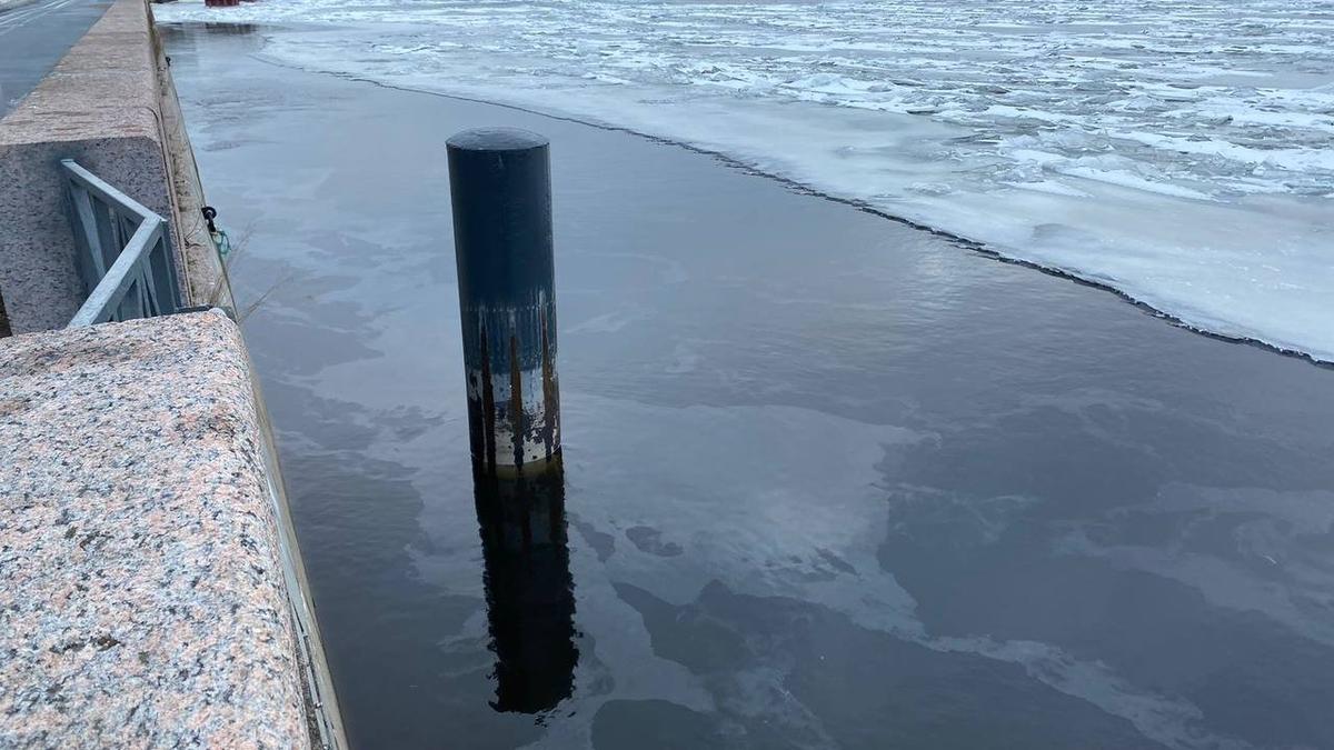 Росприроднадзор проверит радужные пятна на Неве в Калининском районе
