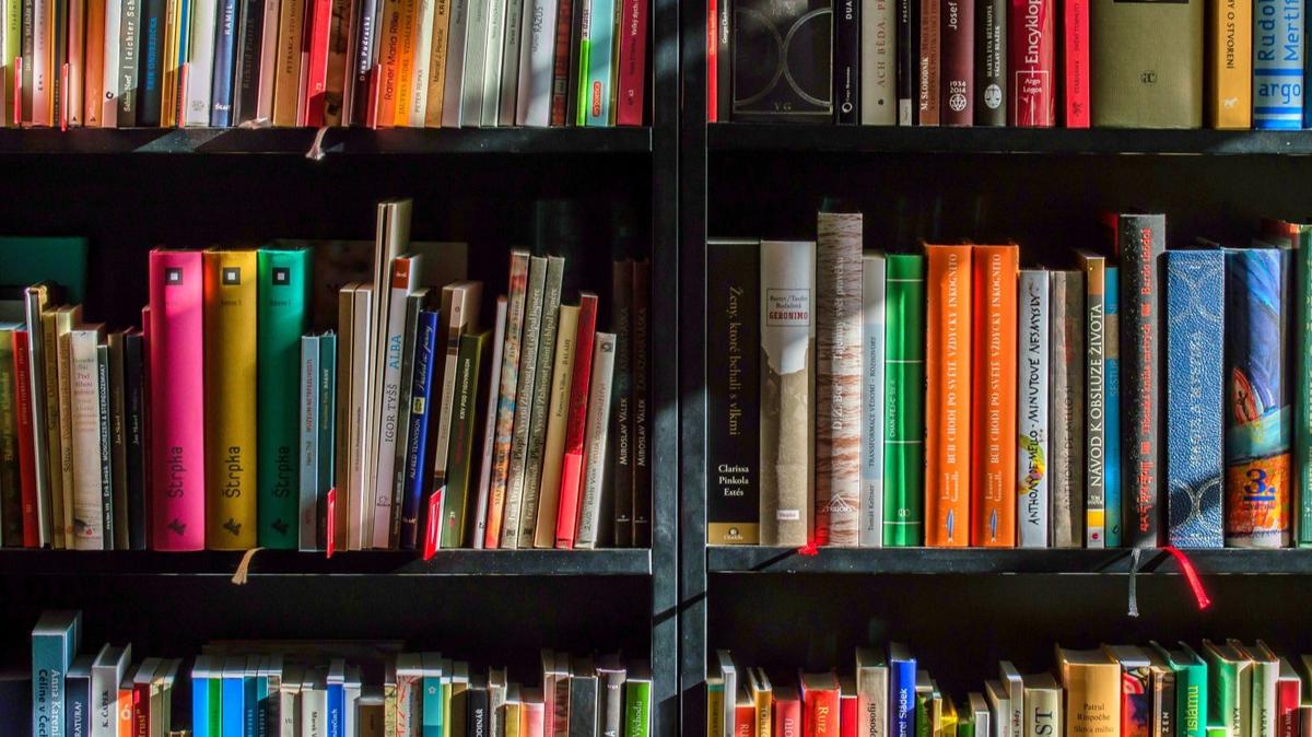«Книжные аллеи» получат 7,2 млн рублей из бюджета Петербурга