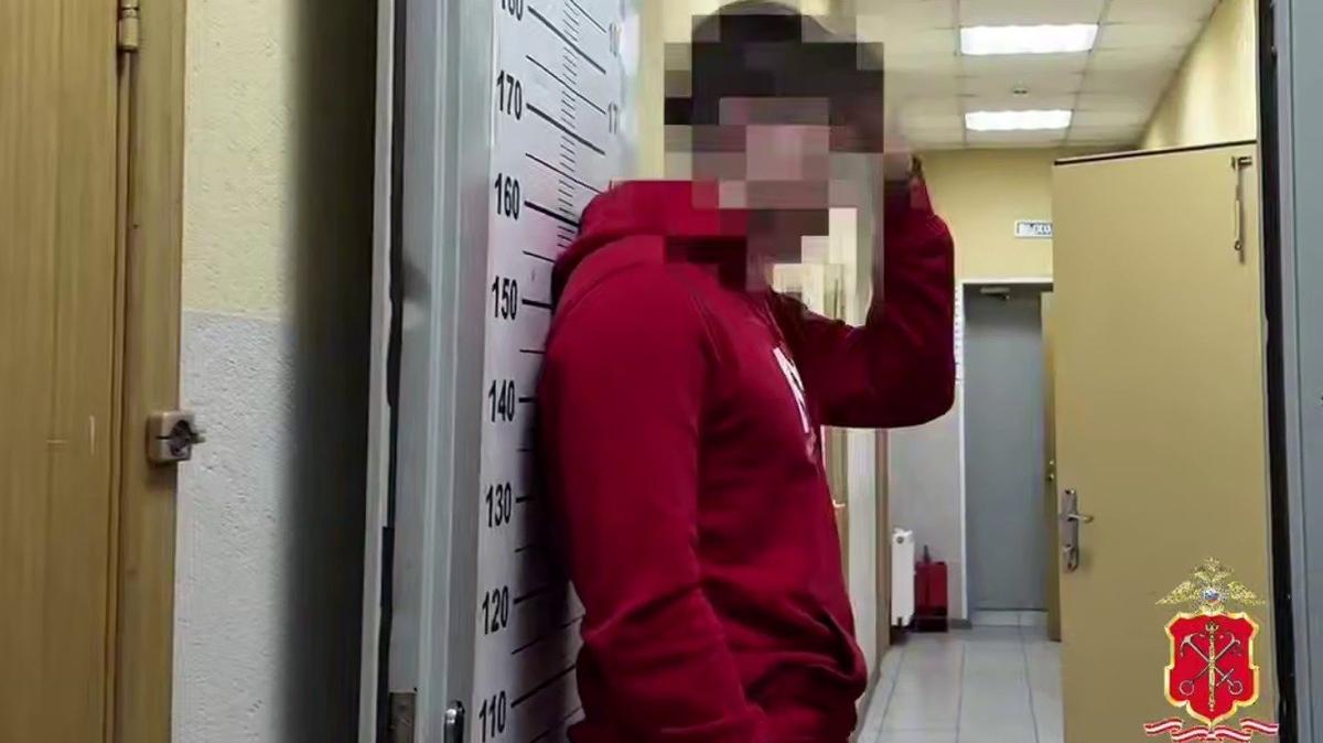 Скриншот видео ГУ МВД по Петербургу и Ленобласти