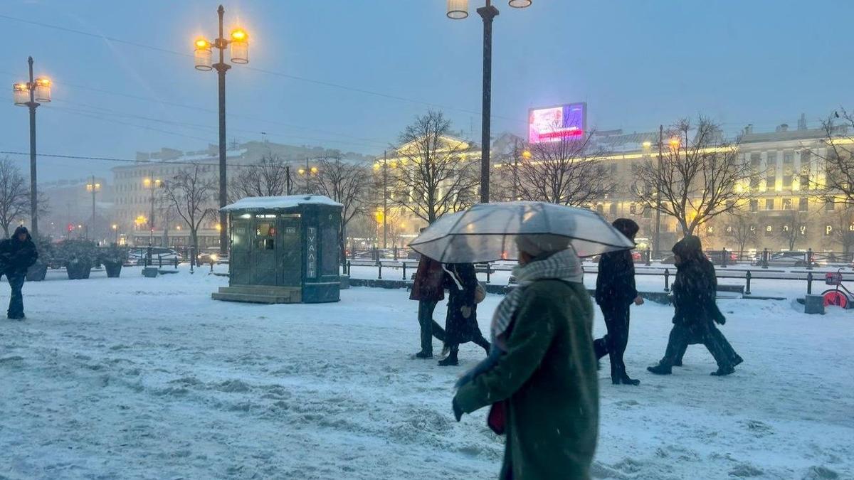 Фото: Дарья Дмитриева / MR7