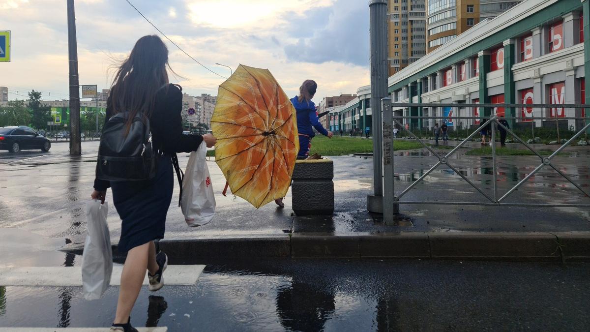 Фото: Олег Золото / MR7