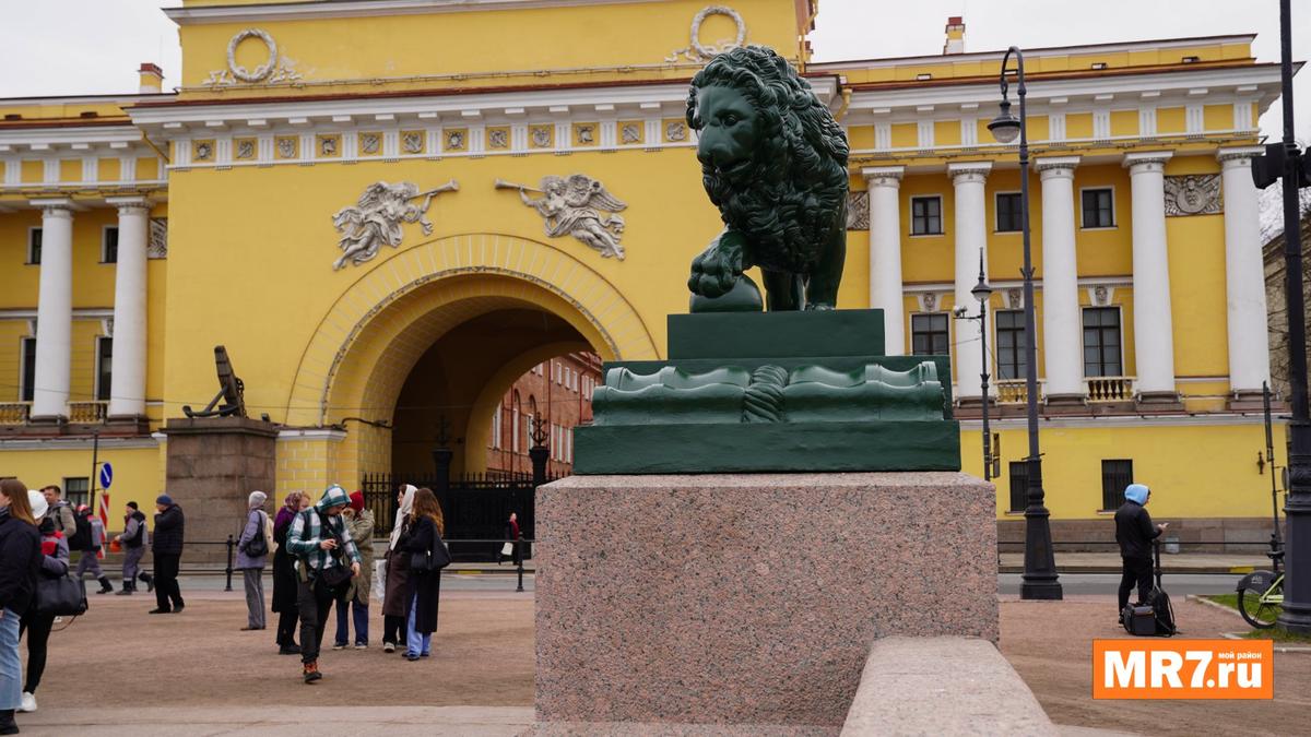 Фото: Виктория Арефьева / MR7