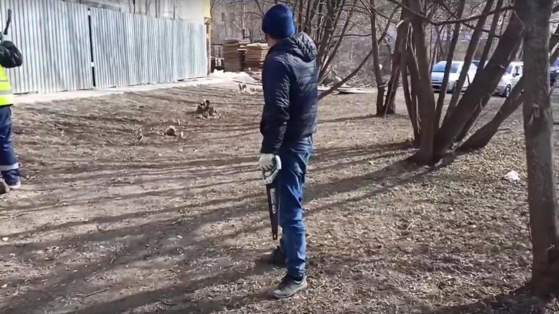 Фото: «Кленовая роща на Карповке в Петроградском районе»