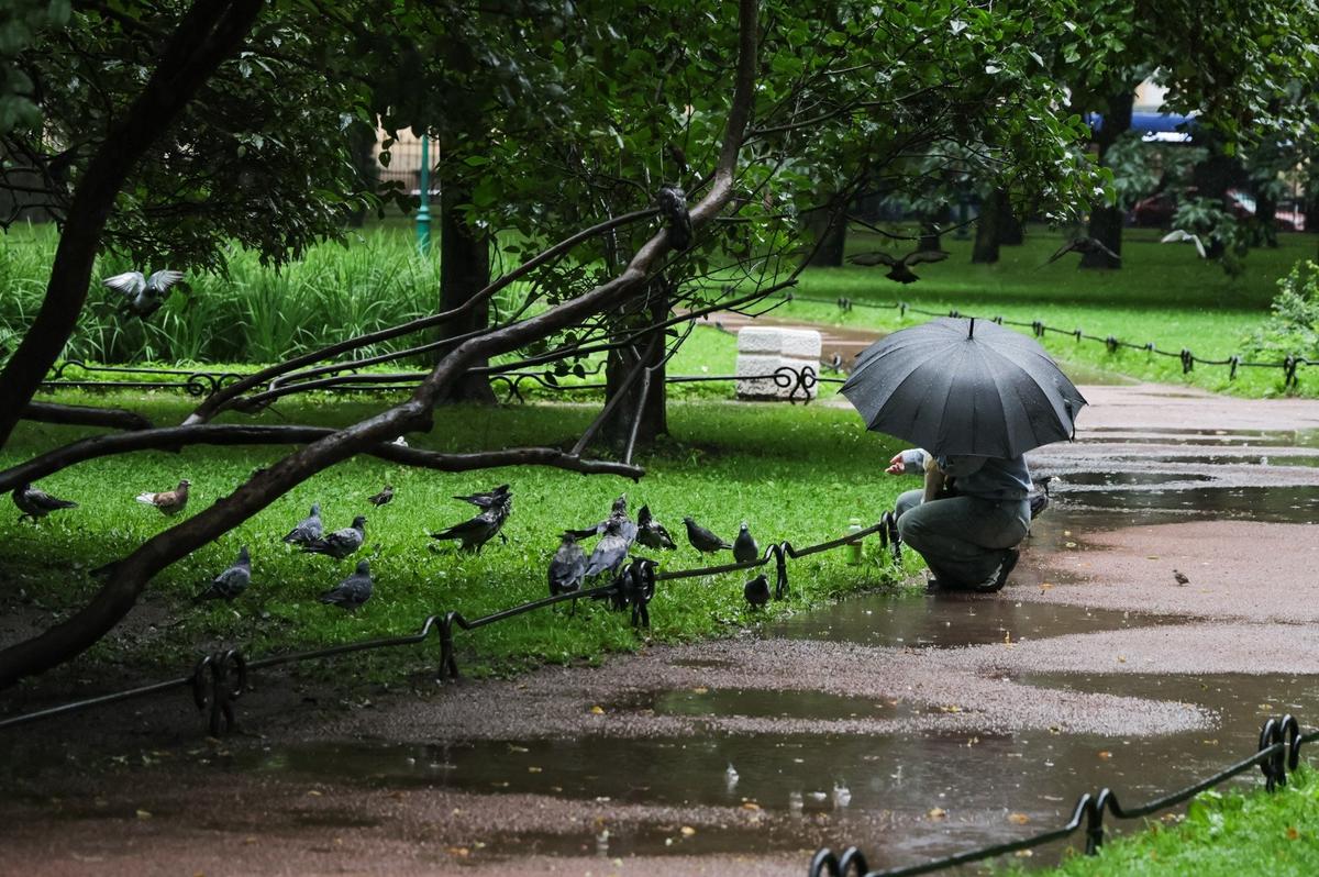 Фото: комитет по благоустройству Петербурга
