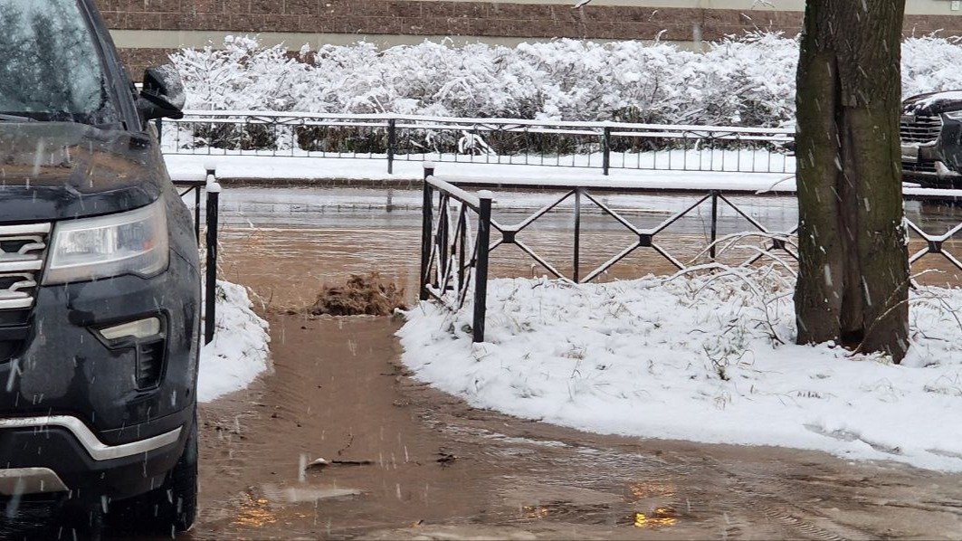 Фото: «Мегаполис»