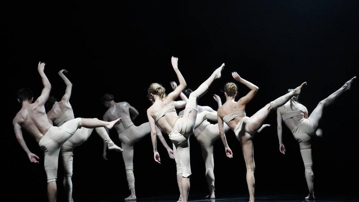 Движение тела и мысли: фоторепортаж с фестиваля современного танца Open Look