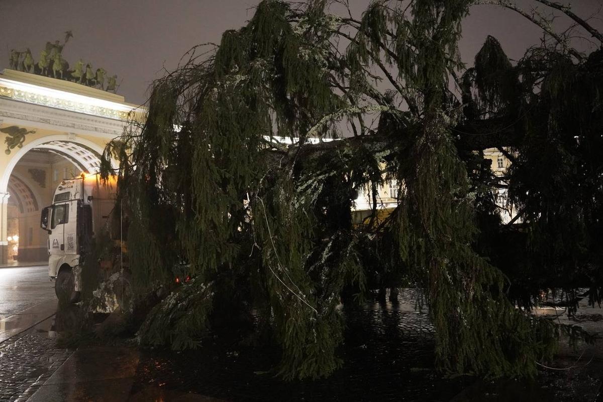 Фото: Павел Борисенко / MR7