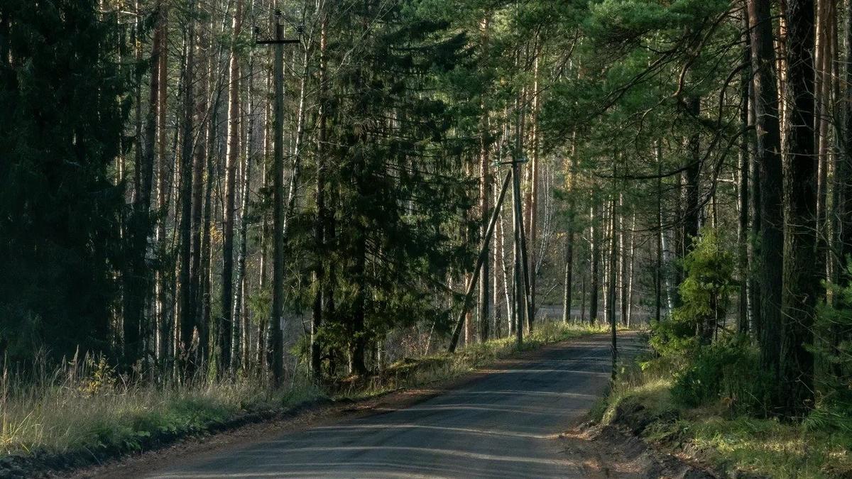 Фото: Олег Золото / МР7