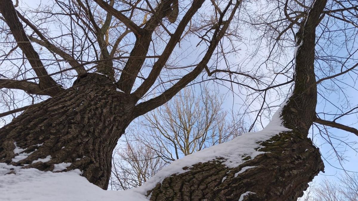 Фото: telegram-канал Сергея Петриченко