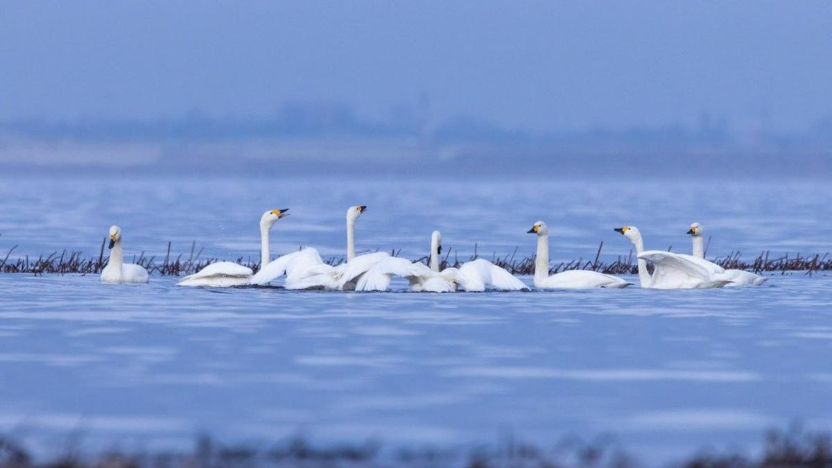 Фото: Катя Стрельникова / «Астрофотоболото»