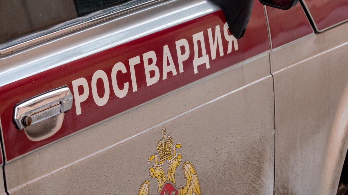 Фото: Олег Золото / МР7