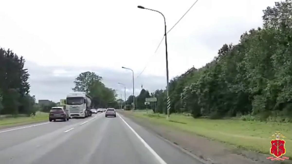 Скриншот видео ГУ МВД РФ по Петербургу и Ленобласти