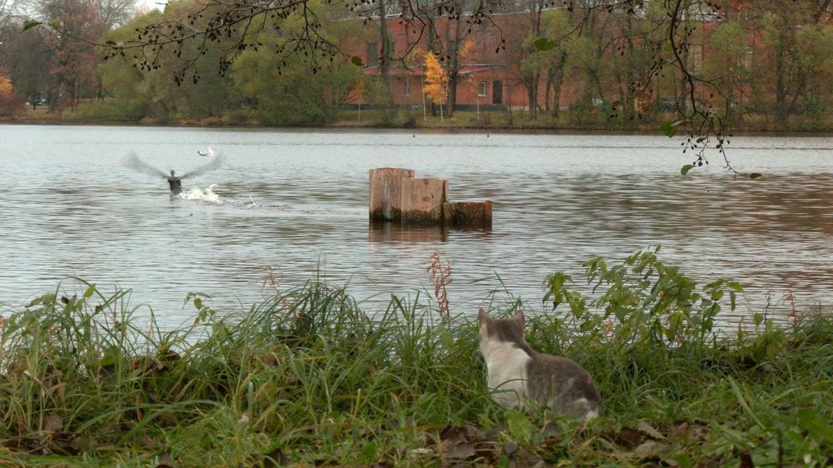 Фото: Павел Глазков / «Каждой твари по паре»