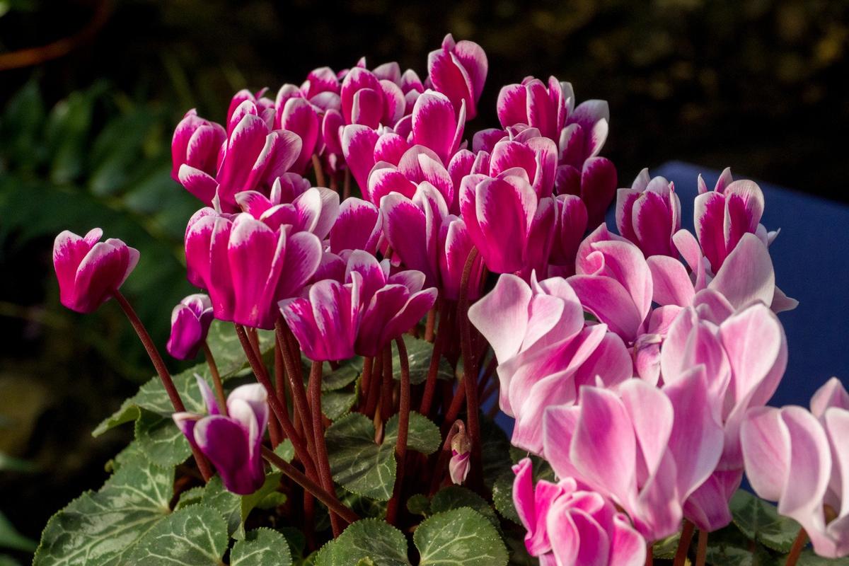 Фото: Олег Золото / МР7