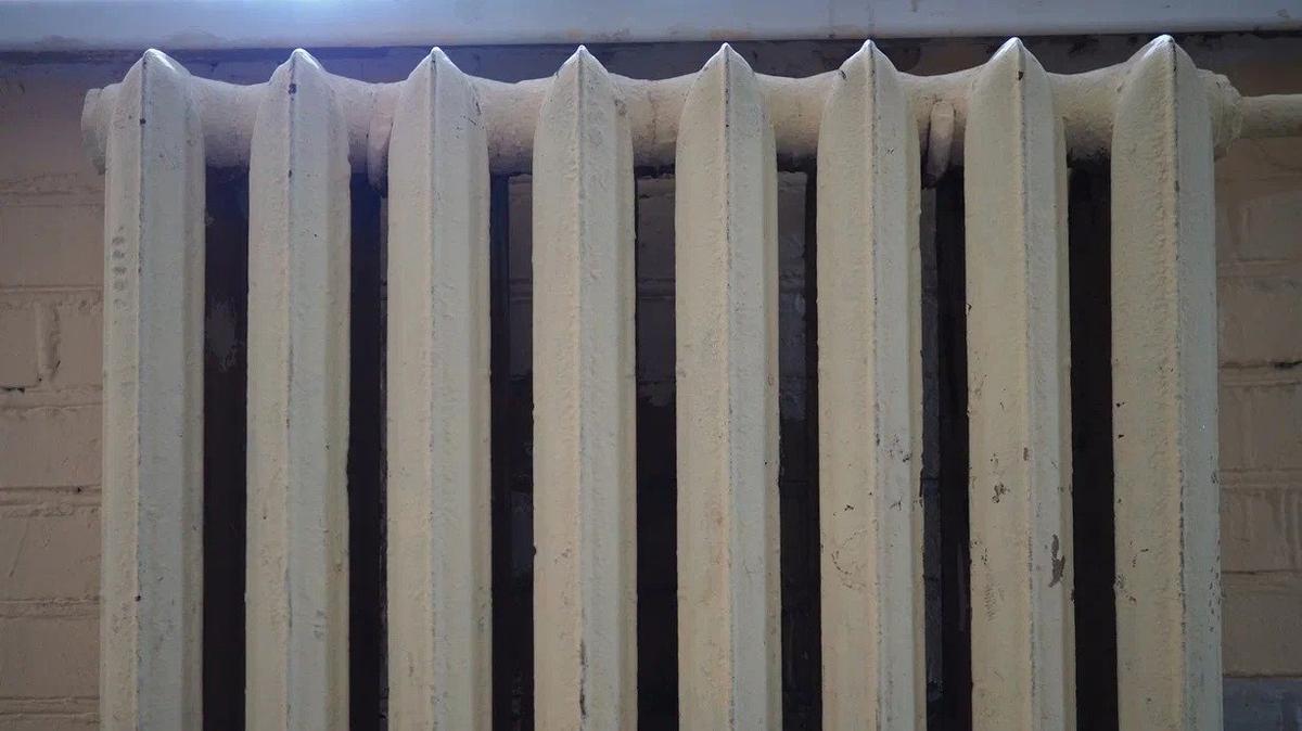 Фото: Дмитрий Абрамов / МР7