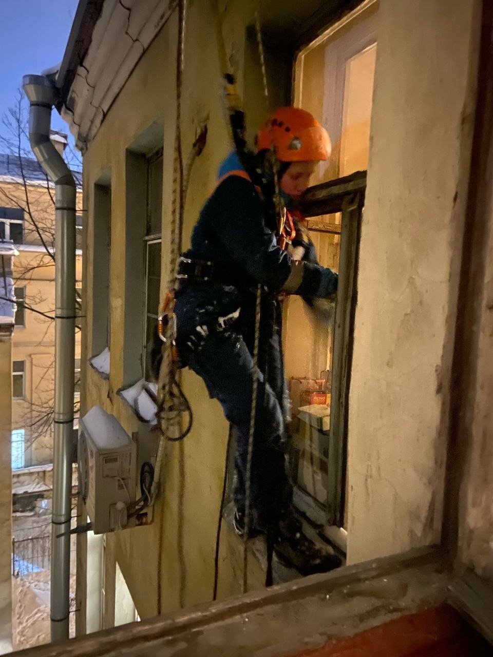 Фото: «Кошкиспас»