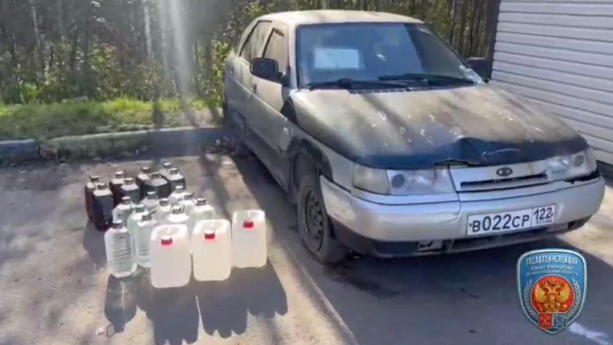 Фото: скриншот видео Госавтоинспекции СПб и ЛО