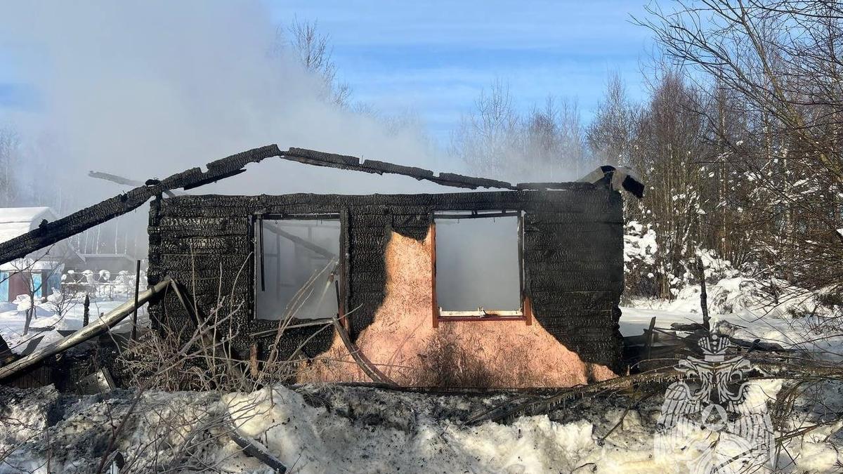 Фото: МЧС Ленинградской области