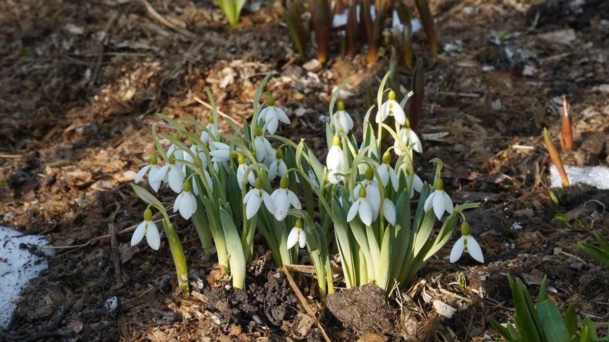 Фото: Павел Борисенко / МР7