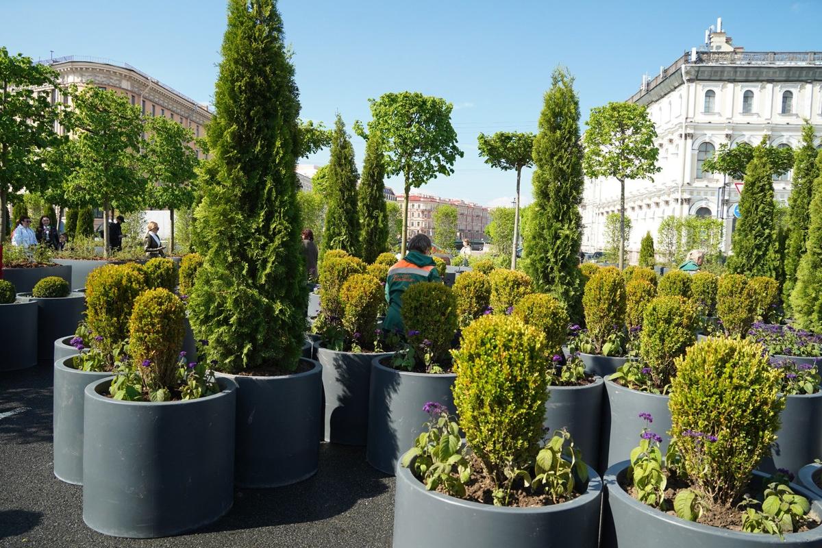 Нововведение последних лет — сады-трансформеры. Фото: Павел Борисенко / MR7