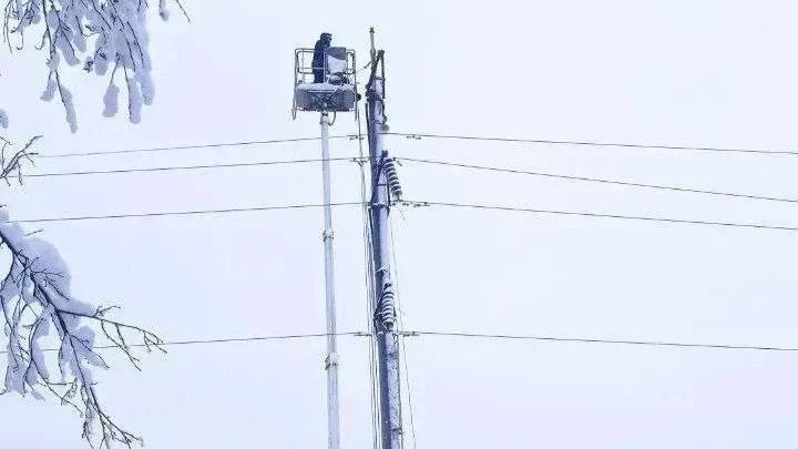 Фото: «Админка Ленобласти»