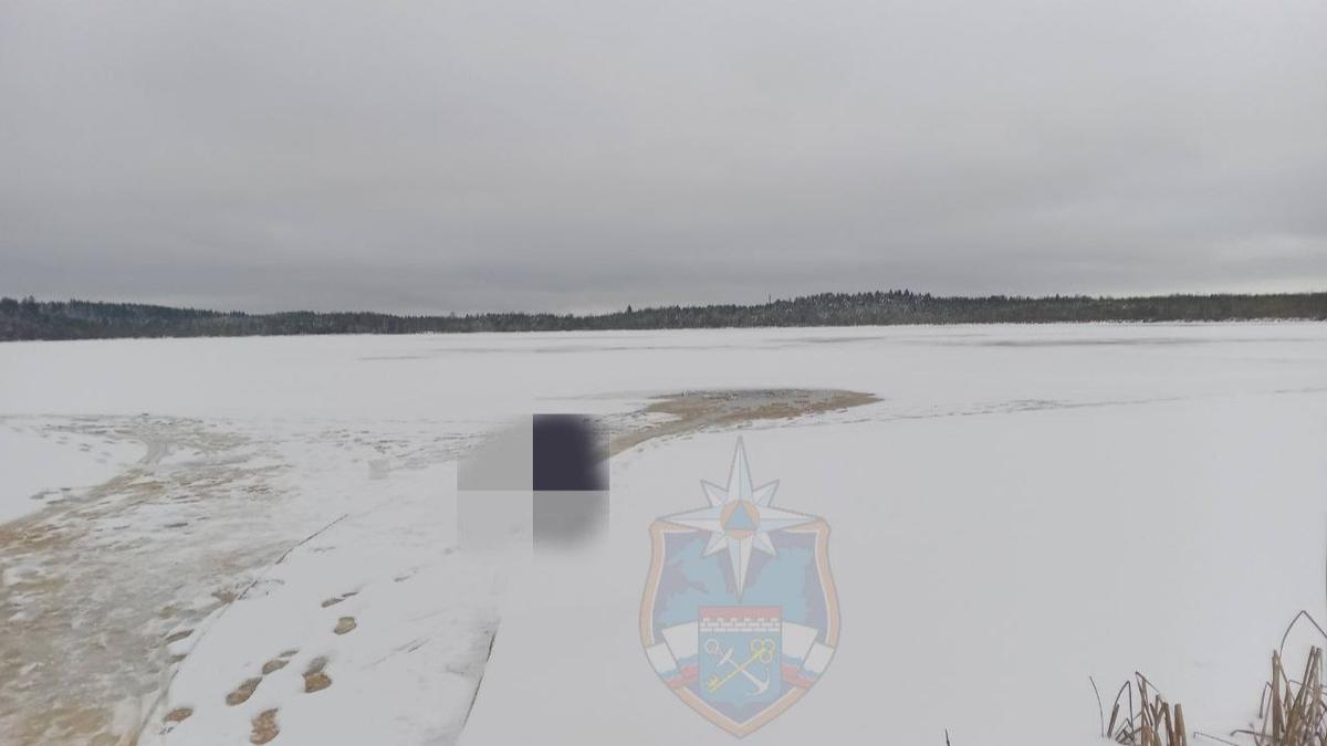 Фото: аварийно-спасательная служба Ленобласти