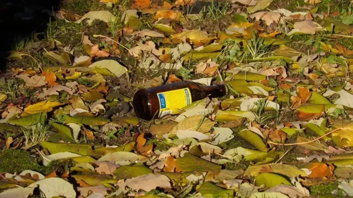 Фото: Дмитрий Абрамов / MR7