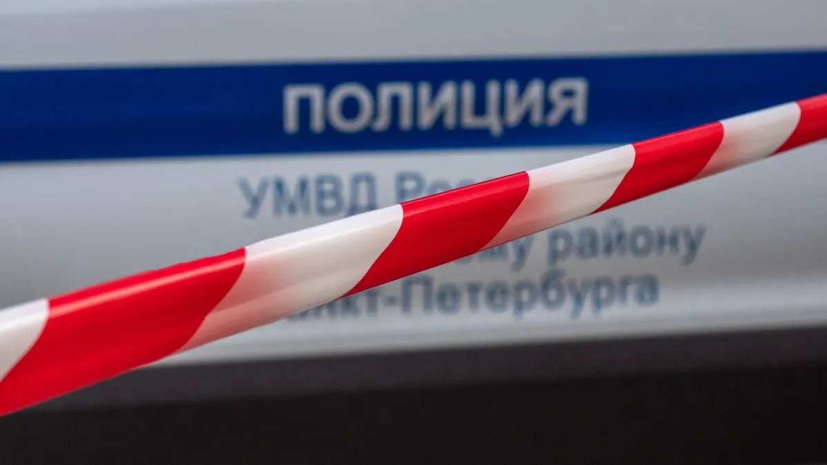 Водитель задавил ребенка на севере Петербурга и скрылся, мальчик умер в больнице