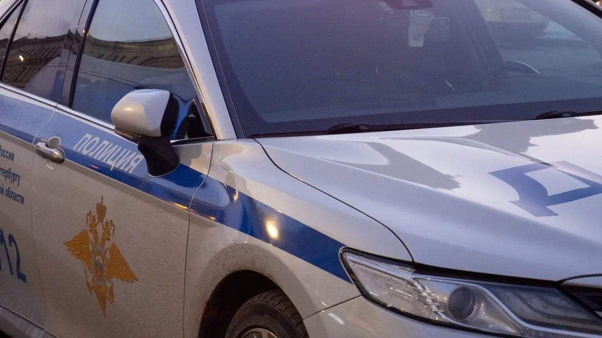 Фото: Дмитрий Абрамов / МР7