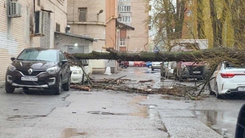 Фото: Мегаполис