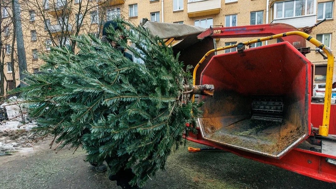 Маршал сестрорецк