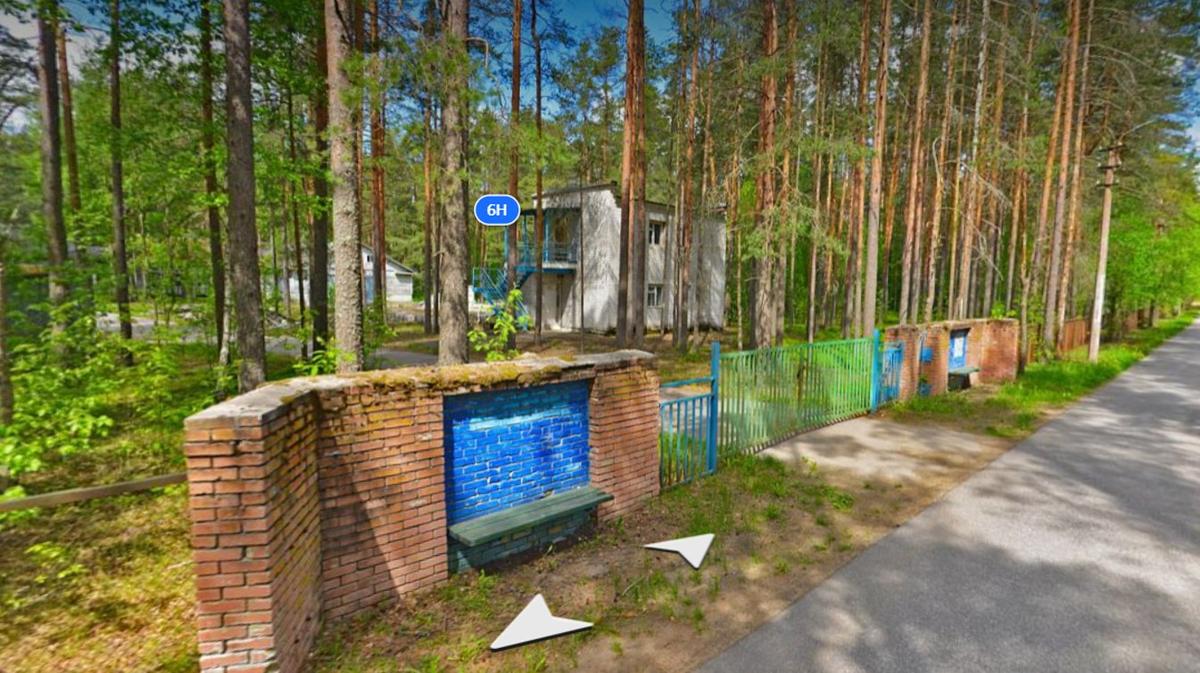 База отдыха Комарово. Фото: скриншот «Яндекс.Карты»