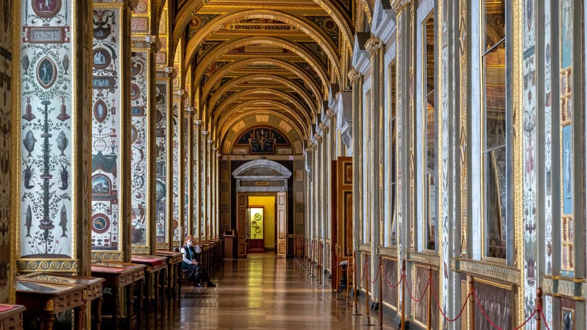 Фото: Олег Золото / MR7