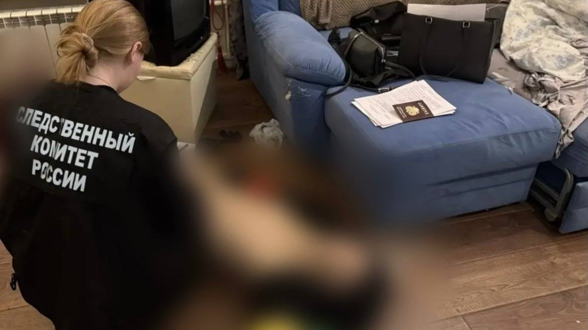 Фото: Следственный комитет Петербурга