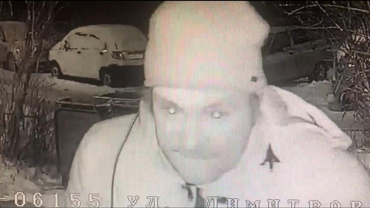 Фото: скриншот записи камер видеонаблюдения от ГУ МВД по Петербургу