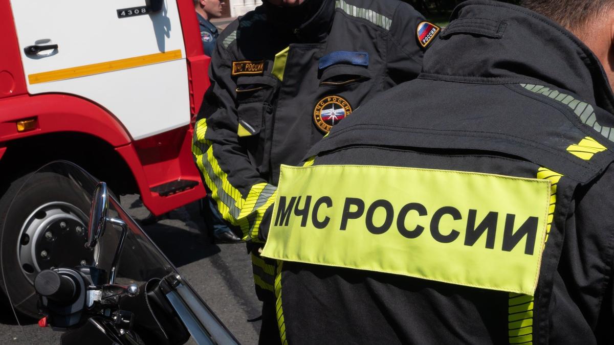 Фото: Олег Золото / МР7