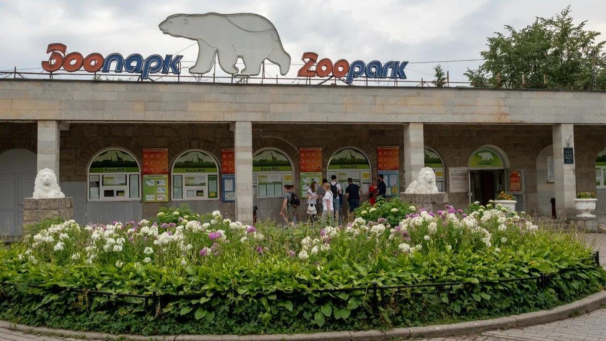 В Ленинградском зоопарке рассчитывают на создание филиала площадью 30-50 га