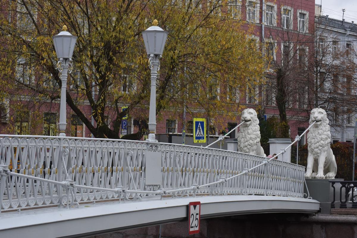 Львиный мост. Фото: <a href="https://vk.com/wall-164990797_5934">пресс-служба CПб ГБУ «Мостотрест»